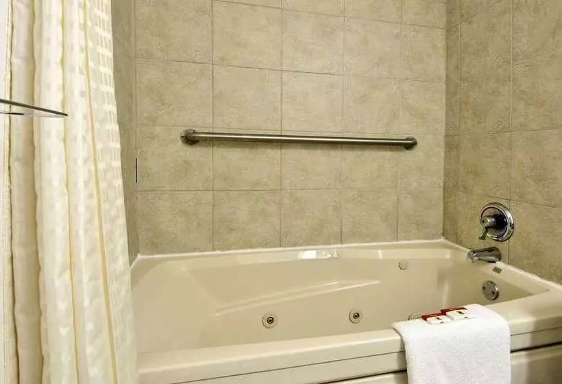 汽车旅馆  Super 8 By Wyndham New Castle