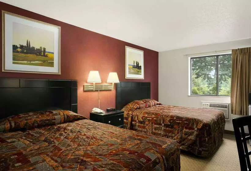 汽车旅馆  Super 8 By Wyndham New Castle