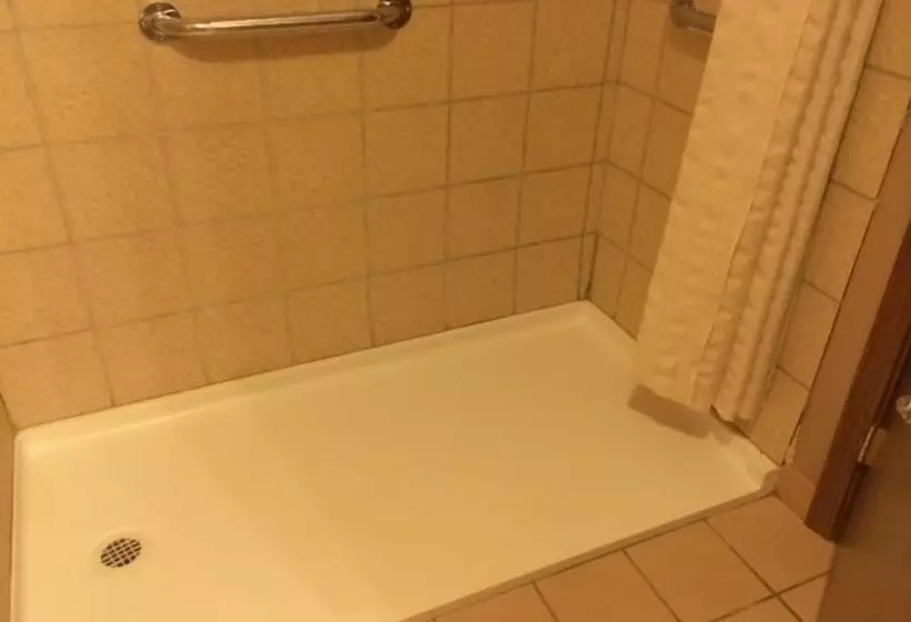 汽车旅馆  Super 8 By Wyndham New Castle