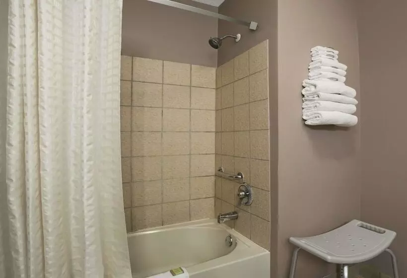 汽车旅馆  Super 8 By Wyndham New Castle