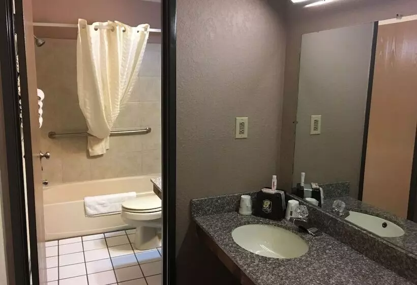 汽车旅馆  Super 8 By Wyndham New Castle