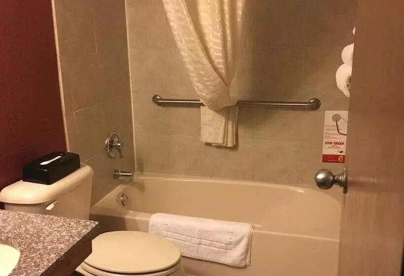 汽车旅馆  Super 8 By Wyndham New Castle