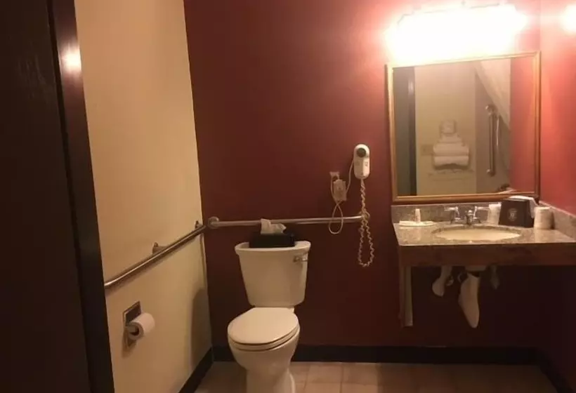 汽车旅馆  Super 8 By Wyndham New Castle