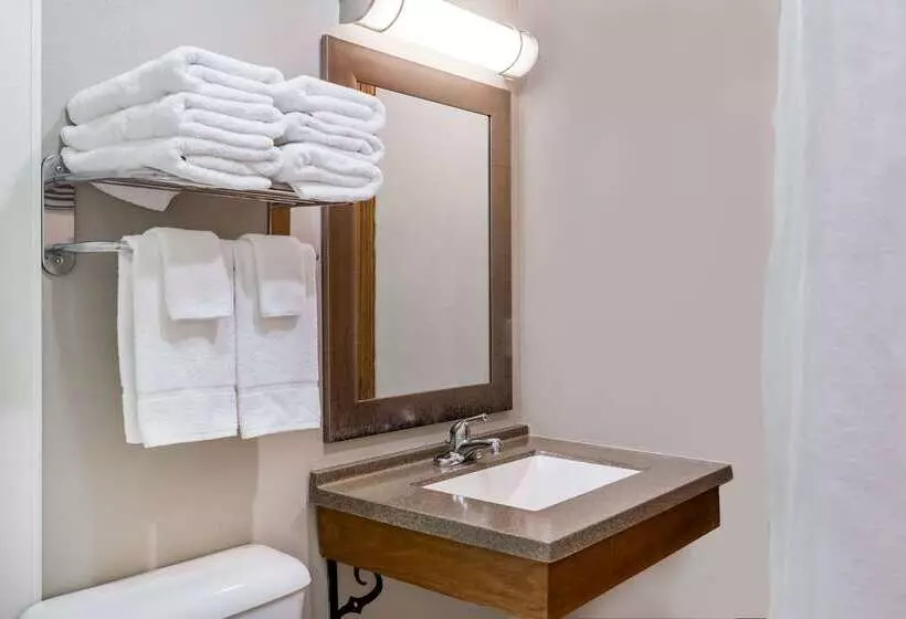 モーテル Super 8 By Wyndham Platteville