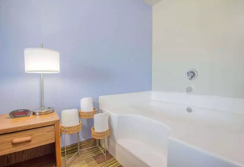 汽车旅馆 Super 8 By Wyndham Toledo