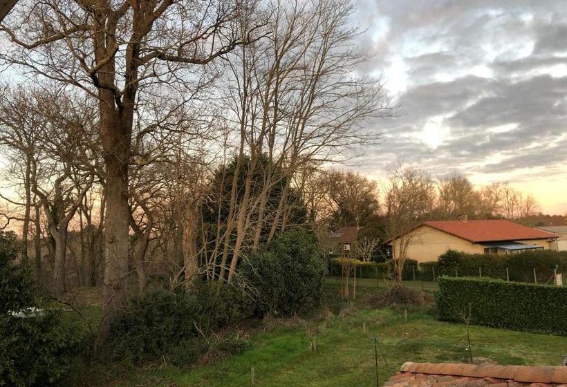 Bed and Breakfast Les Hauts De Castets