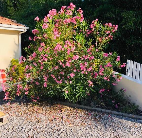 Bed and Breakfast Les Hauts De Castets