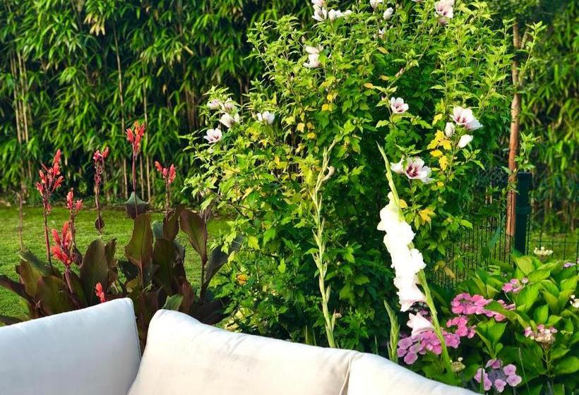 Bed and Breakfast Les Hauts De Castets