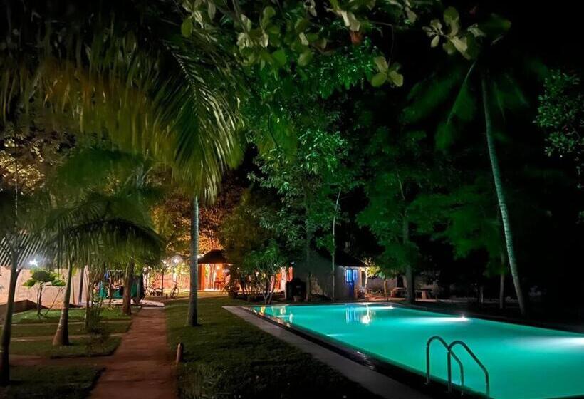 فندق La Dolce Vita