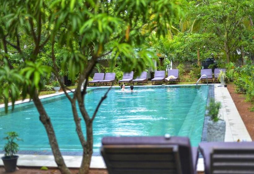 فندق La Dolce Vita