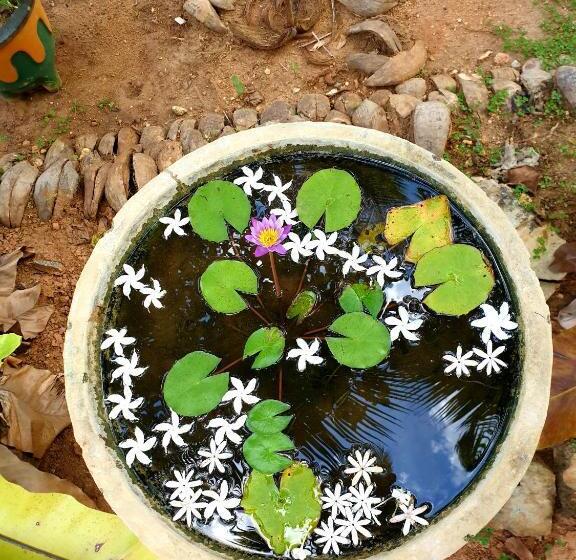 فندق La Dolce Vita