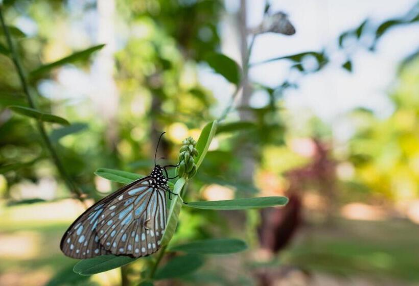 فندق La Dolce Vita