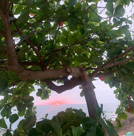 ユースホステル La Coral Beach House