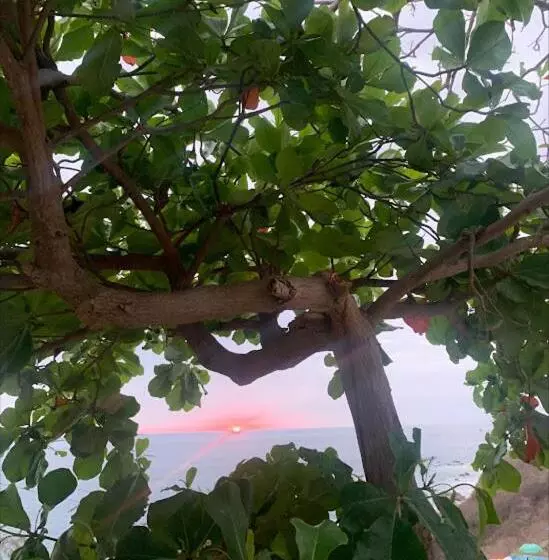 ユースホステル La Coral Beach House