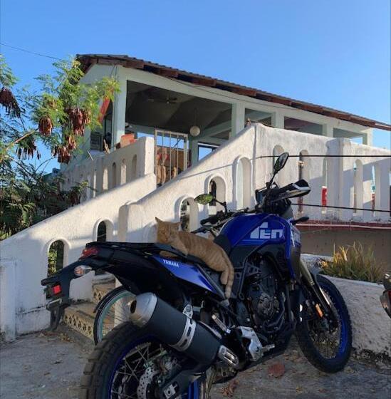 ユースホステル La Coral Beach House