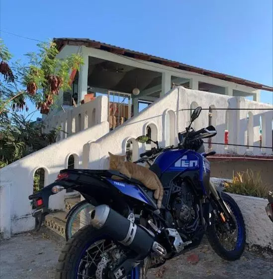 ユースホステル La Coral Beach House