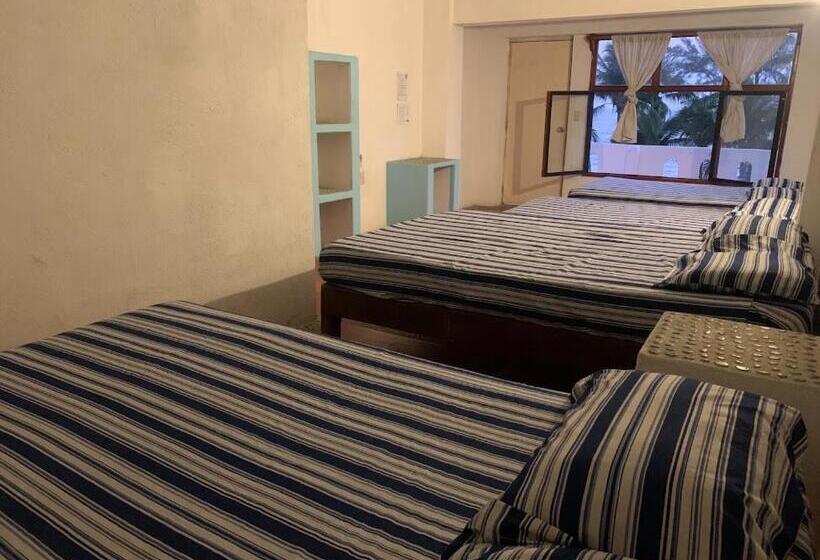 ユースホステル La Coral Beach House