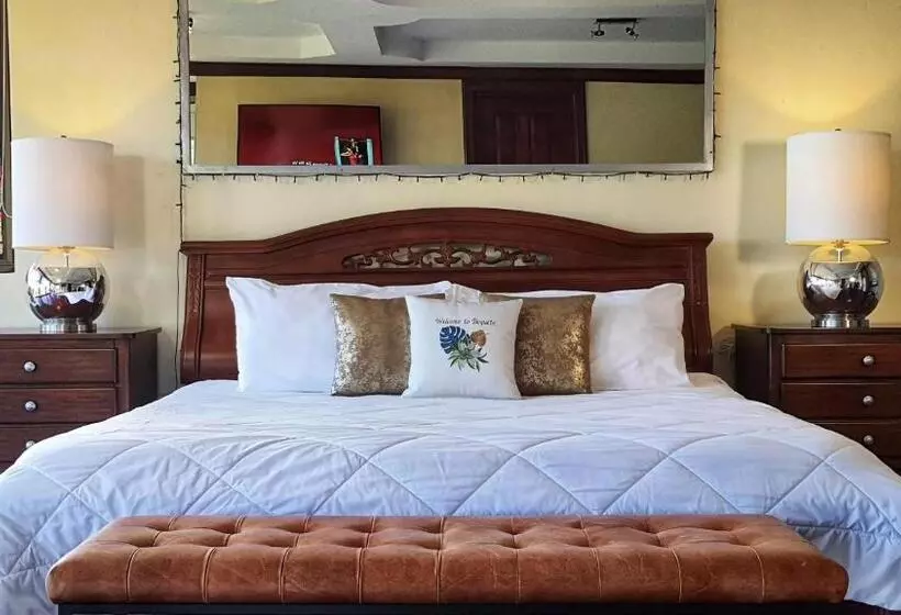 ペンション Villa Alejandro