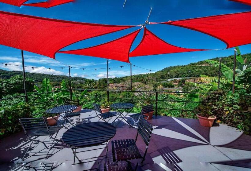 Pension Villa Alejandro