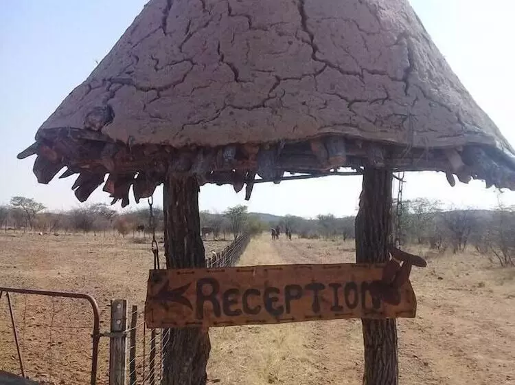 هاستل Omapaha Traditional Hut