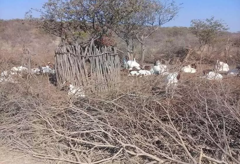 هاستل Omapaha Traditional Hut