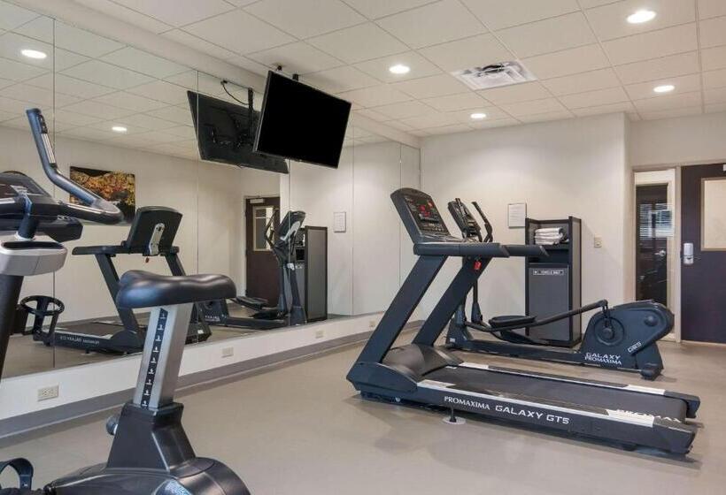 فندق Mainstay Suites East Camden