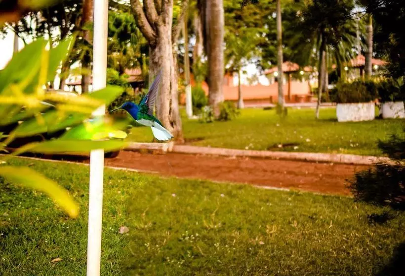 ホテル Pousada Casco De Ouro