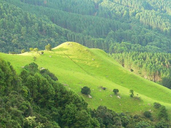 Пансион Green Venus