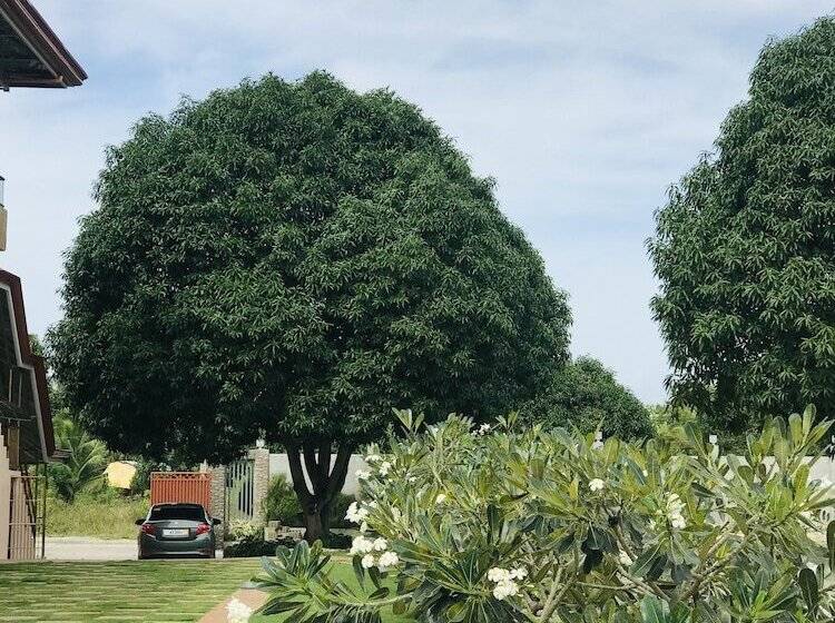 Kurort  La Plumerias