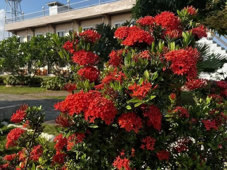 リゾートホテル La Plumerias