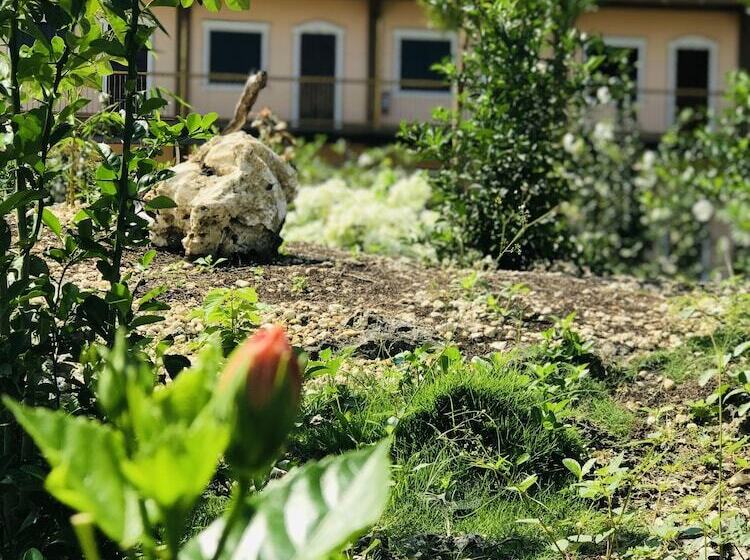 Kurort  La Plumerias