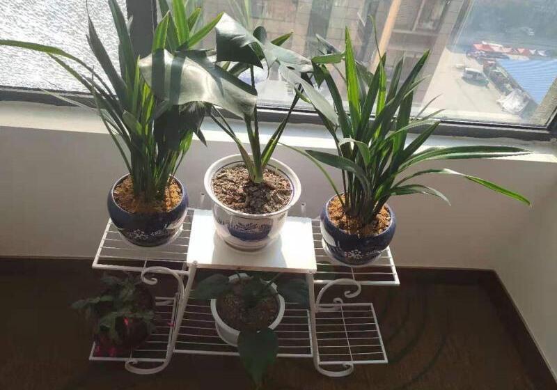 هتل Greentree Inn Wuxi Huishan District Yangshan Town Jiayang Life Plaza Business