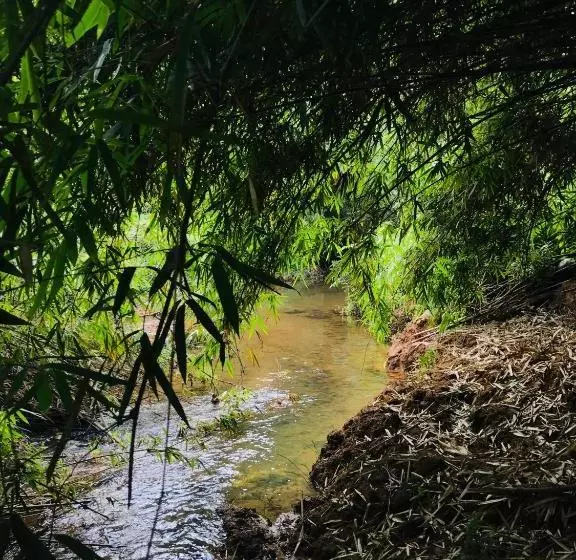 ペンション Mangosteen Holidays