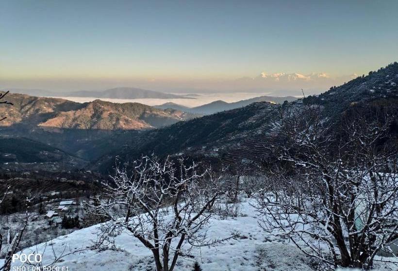 ホテル Pailaaag Orchard & Restaurant