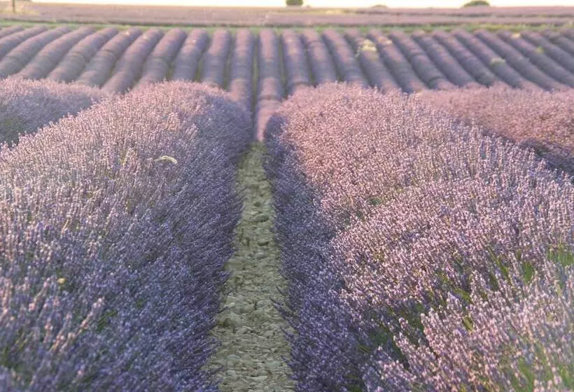 Aamiaismajoitus (B&B) Chambres D Hotes Elisa & Etienne