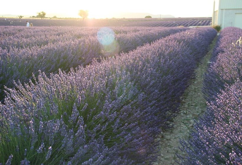 تختخواب و صبحانه Chambres D Hotes Elisa & Etienne