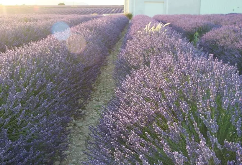 Aamiaismajoitus (B&B) Chambres D Hotes Elisa & Etienne