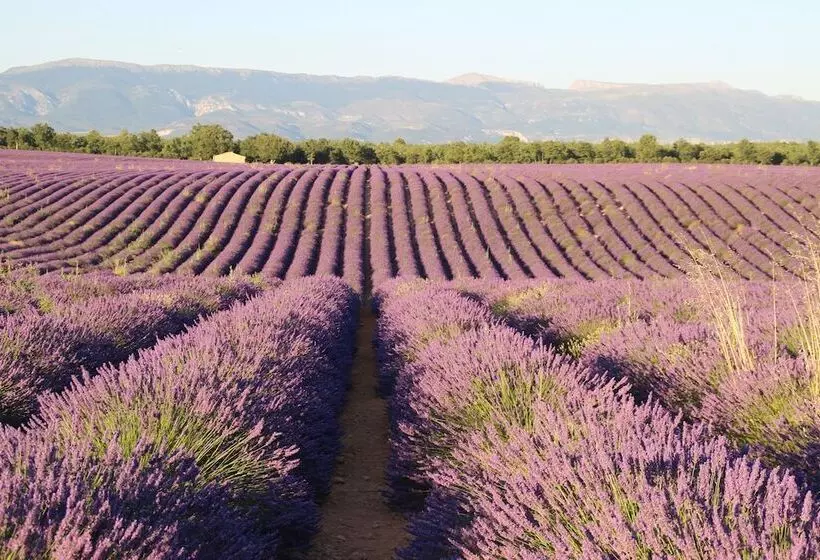Aamiaismajoitus (B&B) Chambres D Hotes Elisa & Etienne