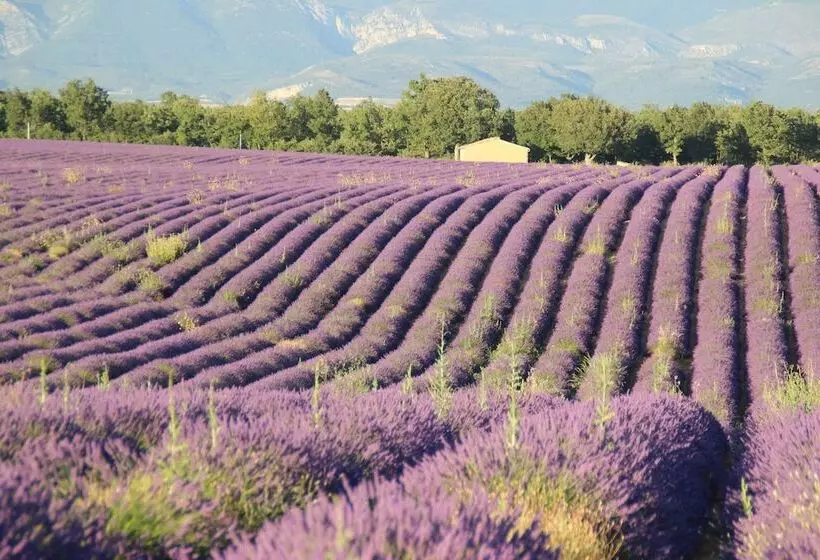 Aamiaismajoitus (B&B) Chambres D Hotes Elisa & Etienne