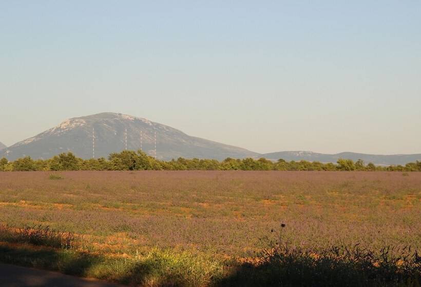 تختخواب و صبحانه Chambres D Hotes Elisa & Etienne
