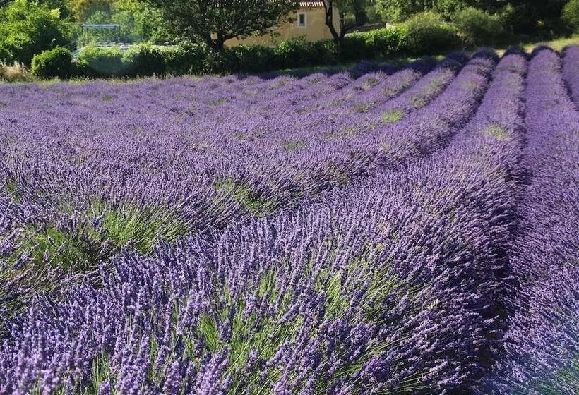 Aamiaismajoitus (B&B) Chambres D Hotes Elisa & Etienne