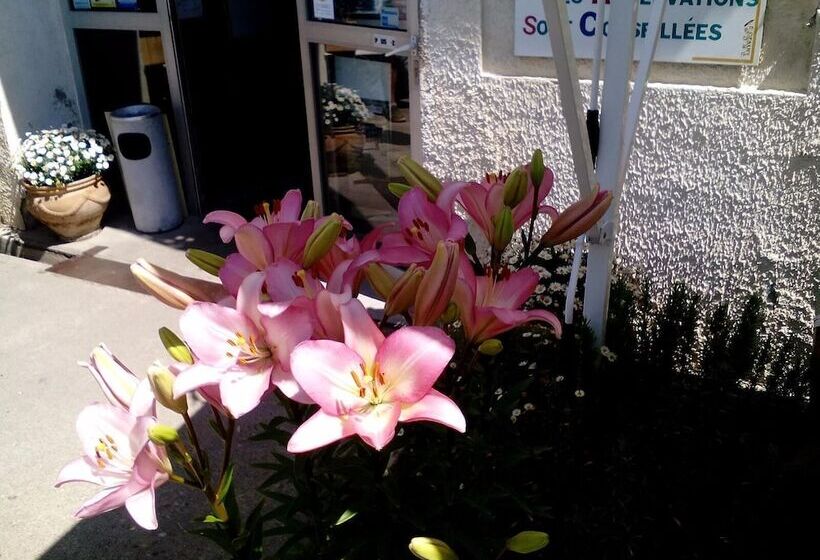 בית מלון כפרי Le Relais Bleu