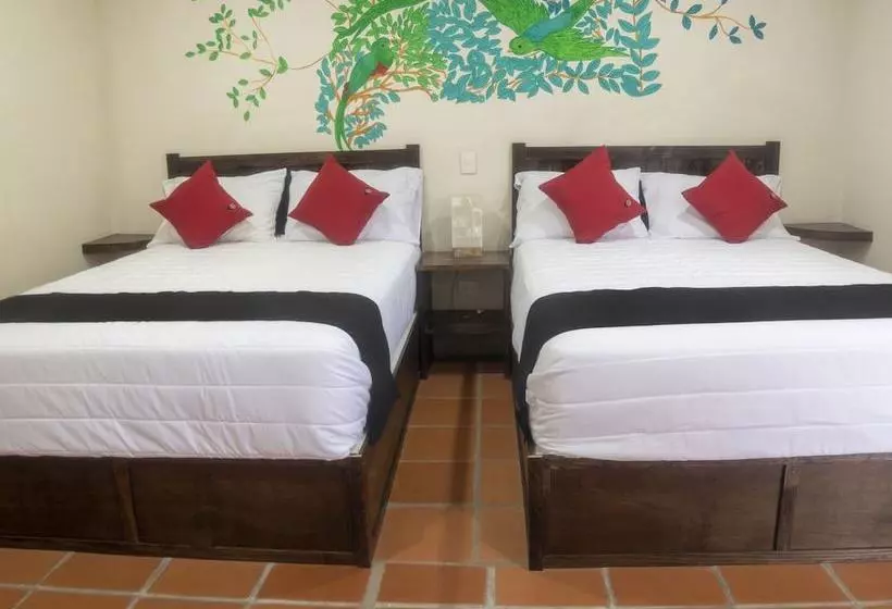 Hotel Posada Jarritos
