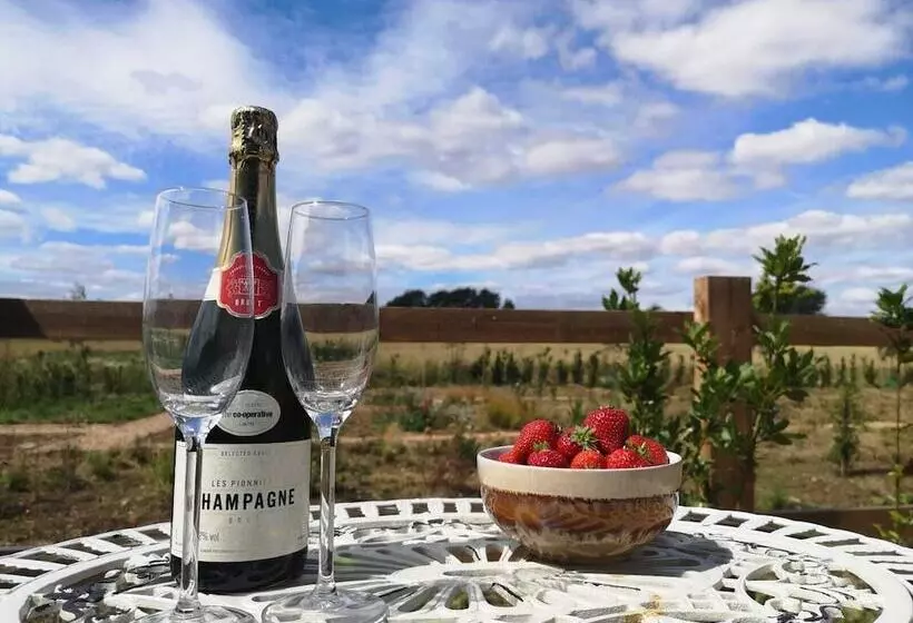 Hotelli The Yard @ Pringle Farm