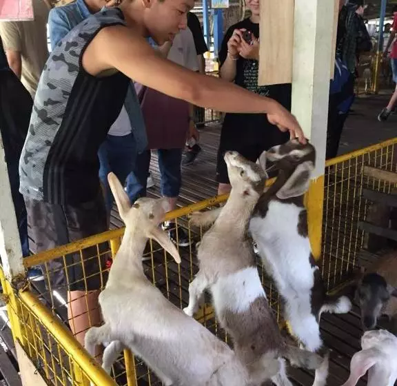 Hotelli Uk Farm Agro Resort