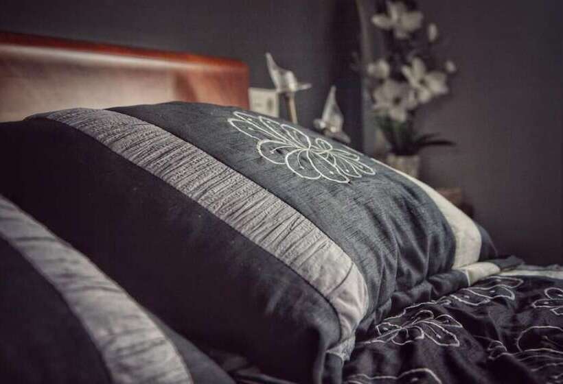 بنسيون Txanpardin