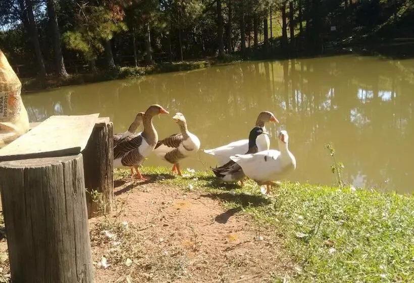 Hotelli Fazenda Bandeirantes