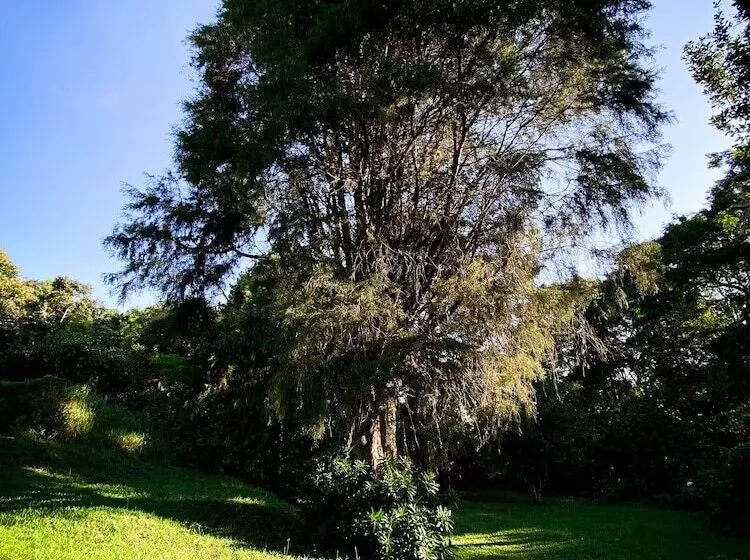 Hotelli Fazenda Bandeirantes
