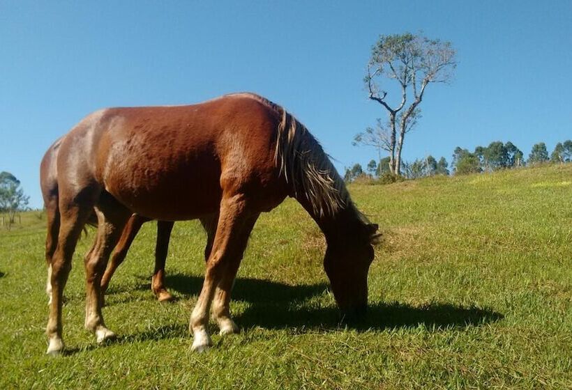 酒店 Fazenda Bandeirantes