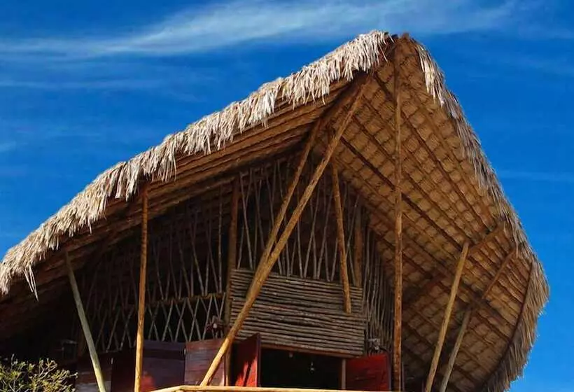 ホテル Villa Sabia  Eco Bungalows